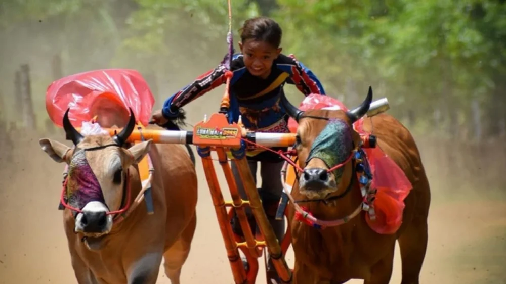 Olahraga Tradisional